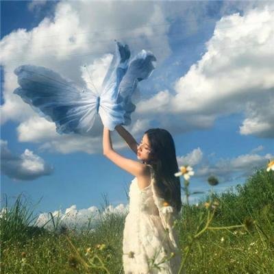 无忧花开2016