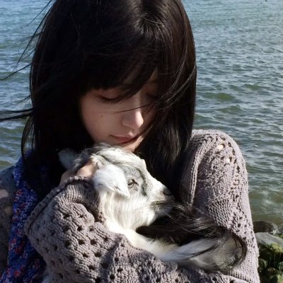 狂风飞絮