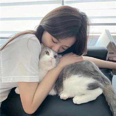 飞行之翼